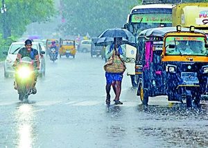 rain