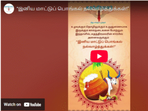 இனிய மாட்டுப் பொங்கல் நல்வாழ்த்துக்கள்!