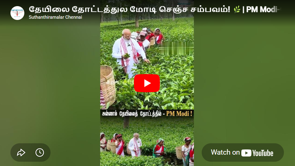 தேயிலை தோட்டத்துல மோடி செஞ்ச சம்பவம்! 🌿| PM Modi-யோட ஒரு Selfie.. 🤳| #virakshorts #pmmodi #bjp